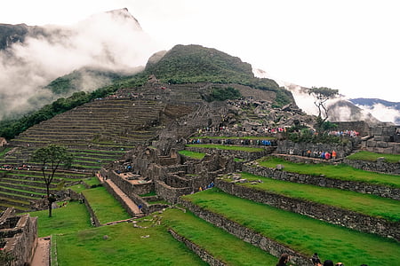 people on rice terraces during daytime thumbnail
