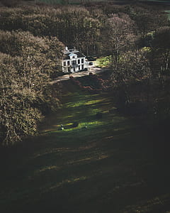 people in front of white concrete house surrounded by trees during daytime thumbnail