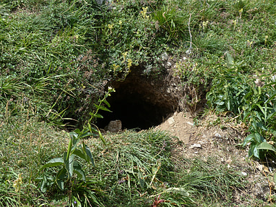 Alpine Marmot Cave thumbnail