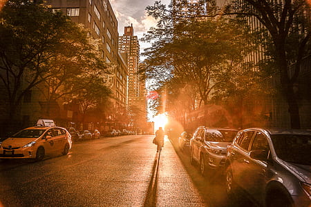 Buildings Surrounded by Trees thumbnail