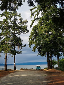 blue and white vehicle on dirt road between trees at daytime thumbnail