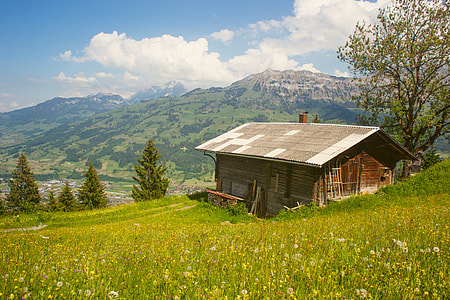 brown and gray wooden house on green hill near green trees overviewing mountain at daytime thumbnail