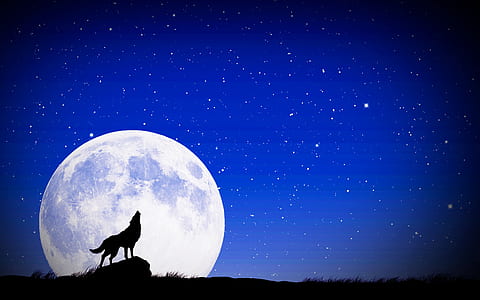 black wolf standing on rock under full moon digital wallpaper thumbnail