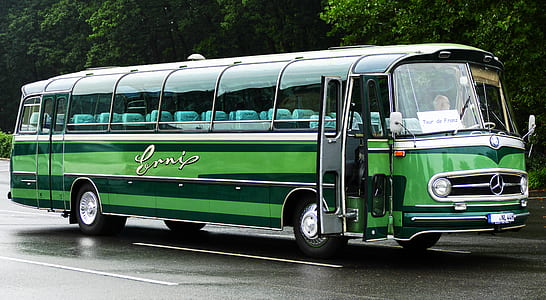 close-up photography of green and black Mercedes-Benz bus on concrete road at daytime thumbnail