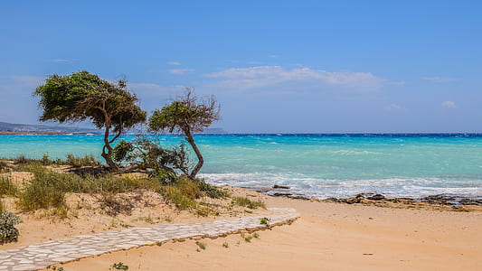sea, nature, sky, beach thumbnail