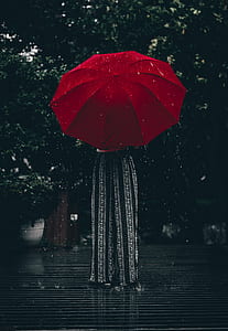 person under red umbrella near trees thumbnail