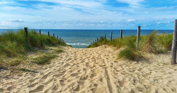 landscape photography of sand pathway thumbnail