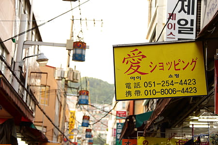 Buildings With Lanterns and Signboards thumbnail