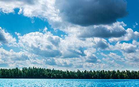 green leafed trees near blue sea under white cloudy sky during daytime thumbnail