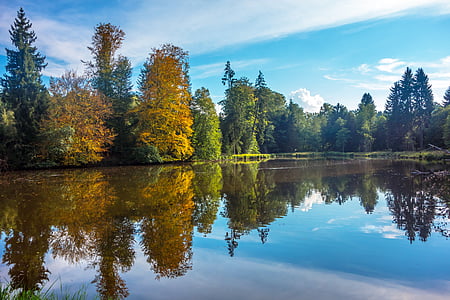 body of water surrounded by tree thumbnail