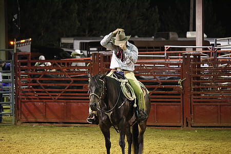 person riding on brown horse while holding his cowboy hat thumbnail
