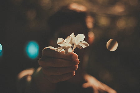 person holding white flowers thumbnail