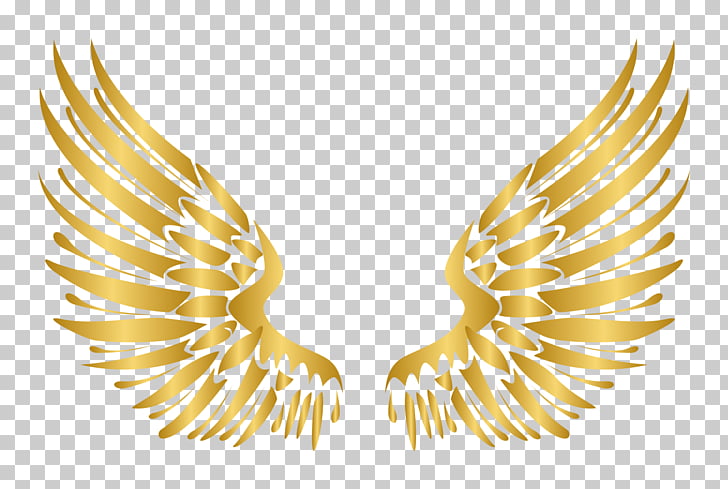Euclidean Nail Element, European-style luxury Golden Wings elements, beige feather wings PNG clipart