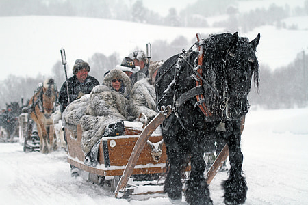 person riding on sled surrounded by snow thumbnail