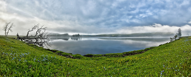 panoramic photography green grass fields near the lake thumbnail