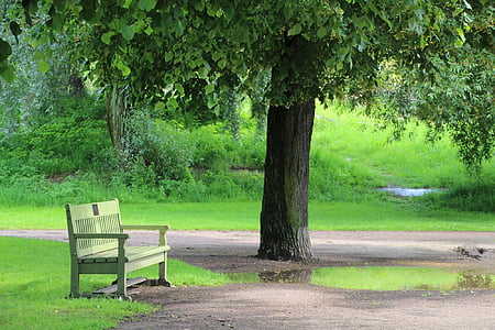 empty bench near tree thumbnail