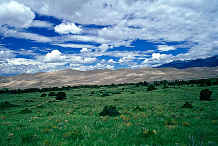At Colorado's Great Sand Dunes National Park clouds drift over the dunes creating shadows. In the foreground is a field of green grasses and bushes. thumbnail