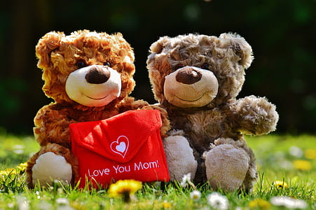 two brown bear plush toys thumbnail