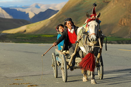 male and female Mongolians riding horse carriage during daytime thumbnail