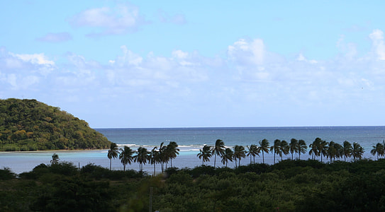 landscape photo of body of water during daytime thumbnail