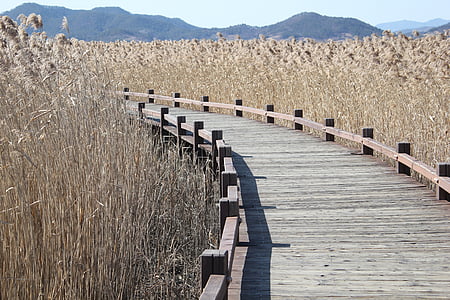 brown wooden deck beside grass field thumbnail