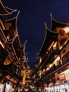 low angle photo of Asian structures at night thumbnail