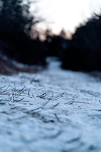 selective focus photography of snow field thumbnail