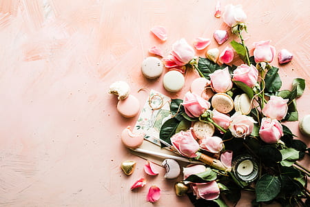 pink roses with cookies on peach surface thumbnail