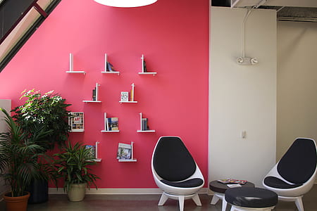 black and white chairs and green plants thumbnail