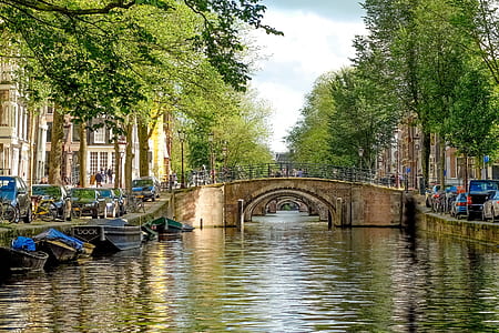 brown concrete bridge on body of water thumbnail