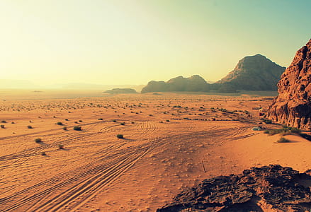 Sand Field thumbnail