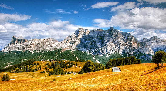 brown grass land across white mountain thumbnail