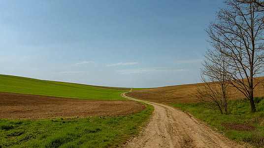 pathway in the middle of green plains thumbnail