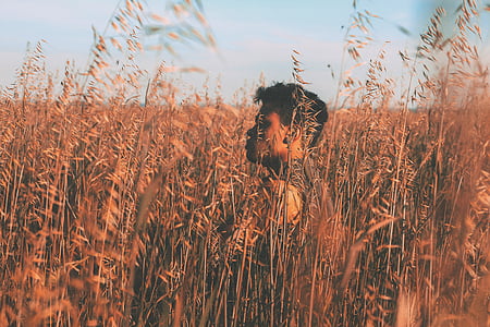 man walking in green wheat field thumbnail