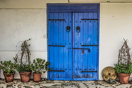 plants near door panel thumbnail