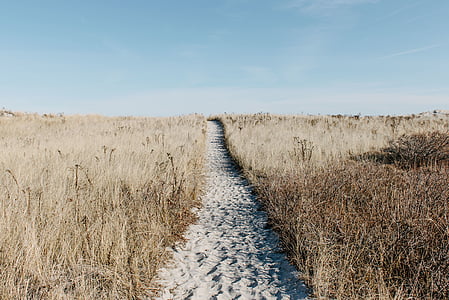 sand pathway between brown grass fields thumbnail