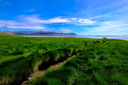green grass field thumbnail