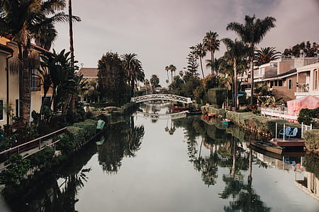 photo of white bridge over gray body of water thumbnail