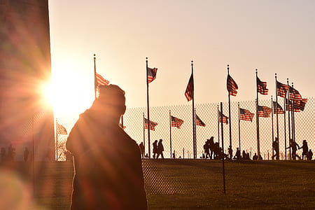 silhouette of man looking to flags thumbnail