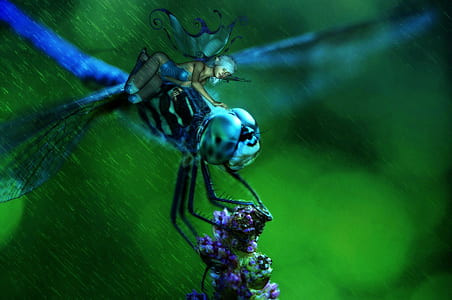 selective focus photography of blue dragonfly thumbnail