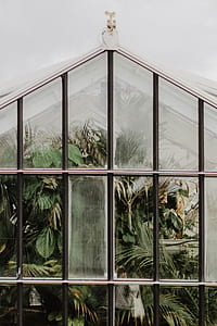 greenhouse surround by plants thumbnail