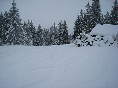 two people standing on snow covered field thumbnail