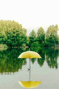 yellow umbrella on water thumbnail