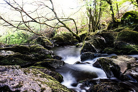 timelapse photography body of water near leafless trees thumbnail