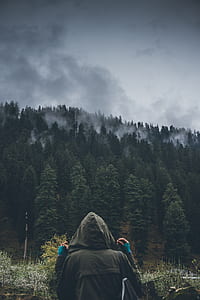 person facing backwards at trees thumbnail