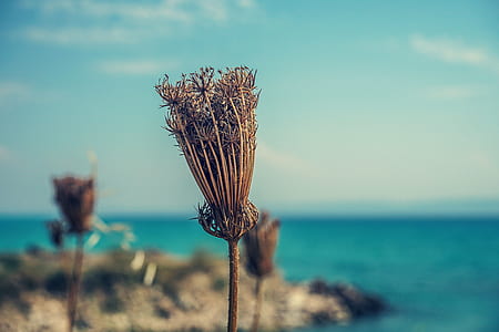 sea, landscape, nature, sky thumbnail