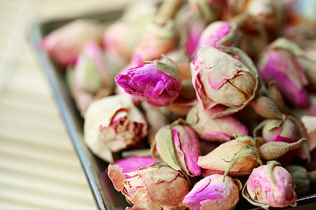 pink roses selective-focus photo thumbnail