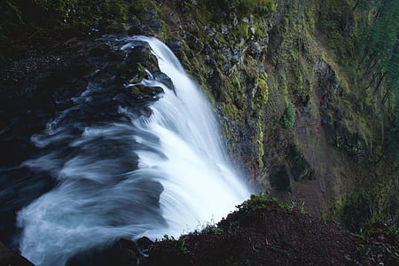 waterfall surrounded by trees thumbnail