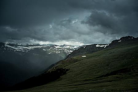 green grass photography thumbnail