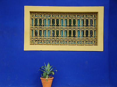 green leafed plant leaned on wall thumbnail